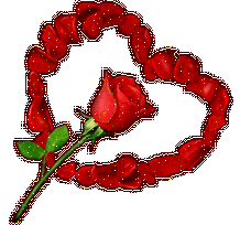 Rose pour mon coeur