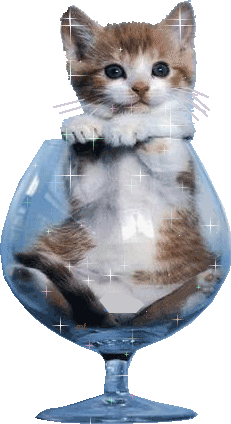 Ba chat allors
